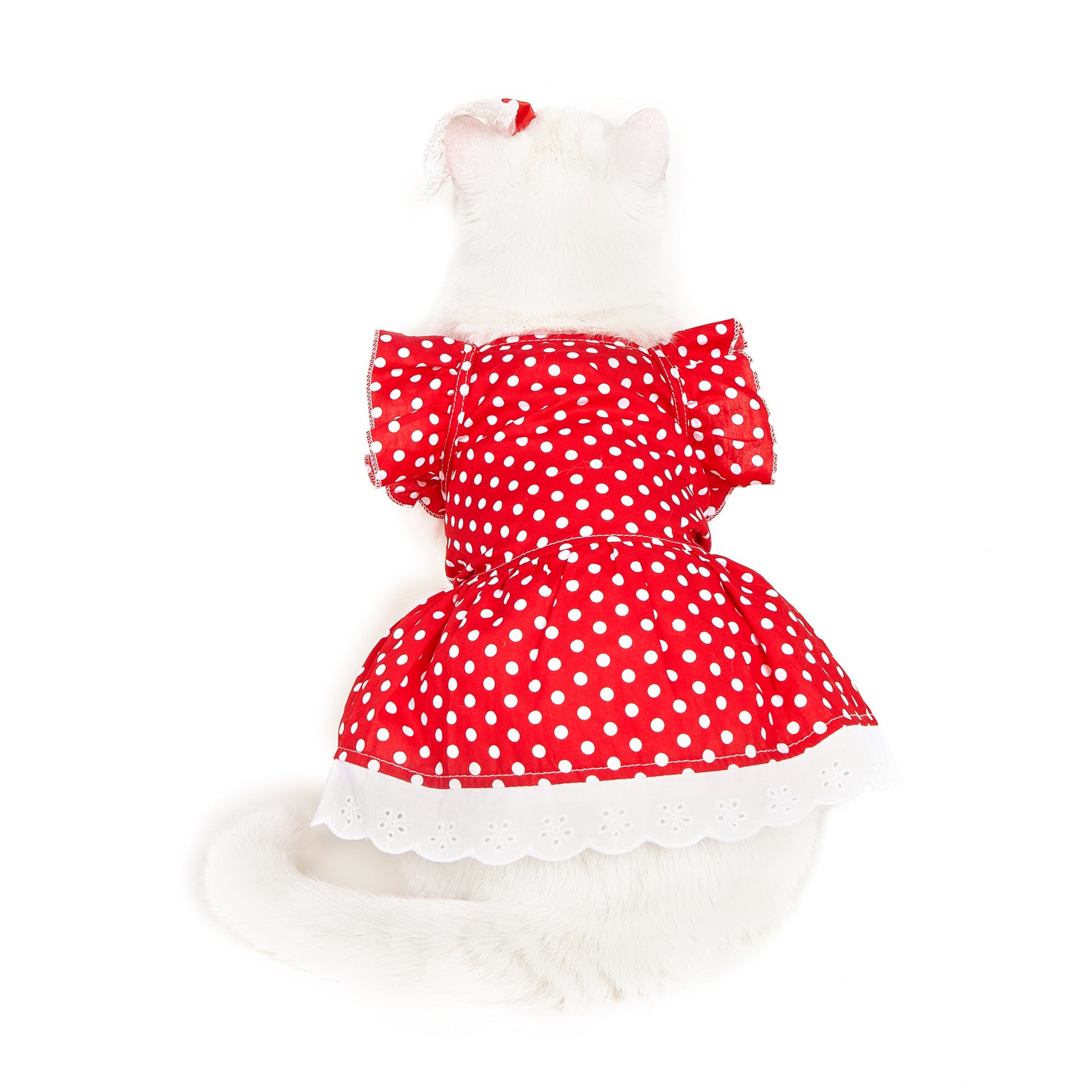 Black And White Polka Dot Dress Dog Princess Cute Skirt