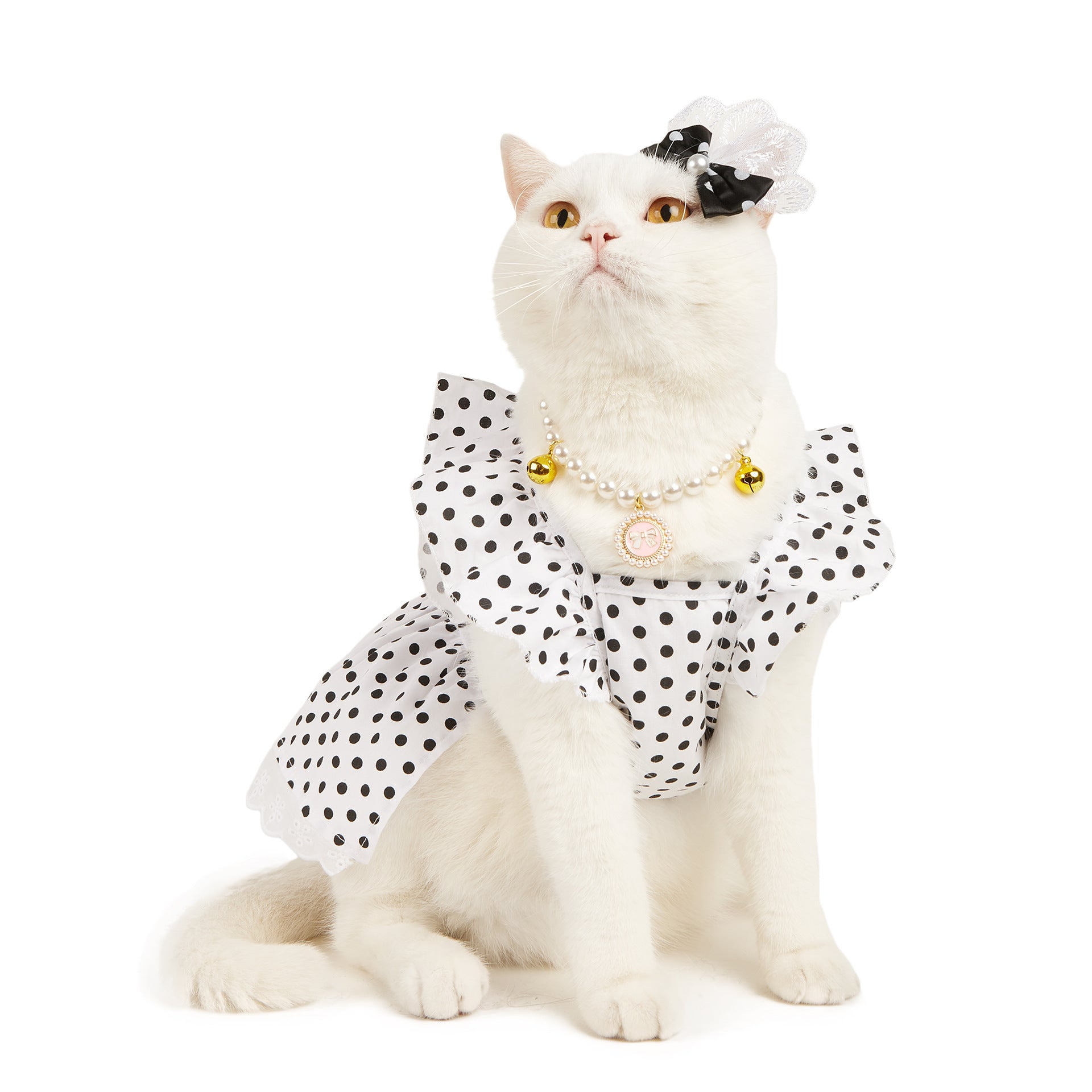 Black And White Polka Dot Dress Dog Princess Cute Skirt