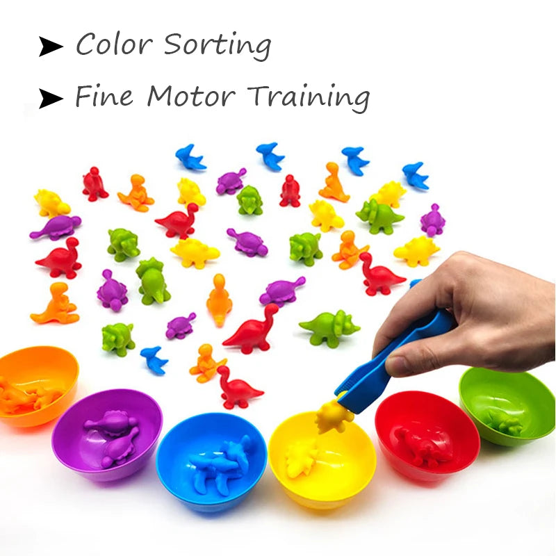 Montessori Material Rainbow Counting Math Toys Color Sorting Matching Game