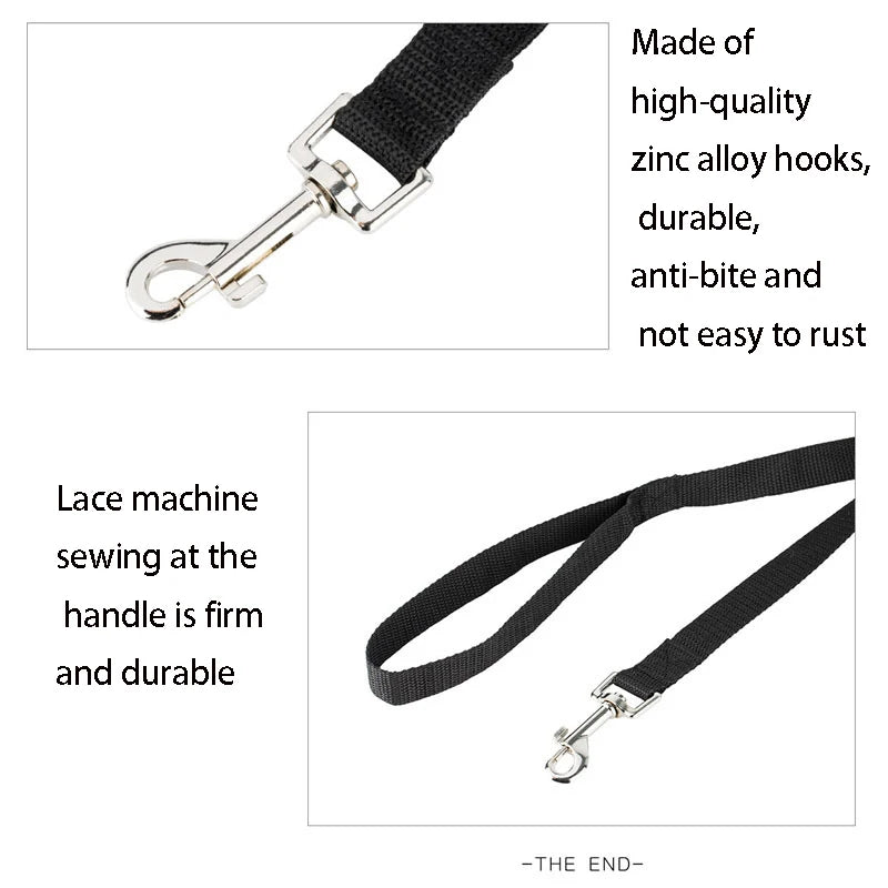 Longer Pet Leashes Rope Outdoor Training Running Dog Leash Belt PP Dogs Lead for Chihuahua Small and Large