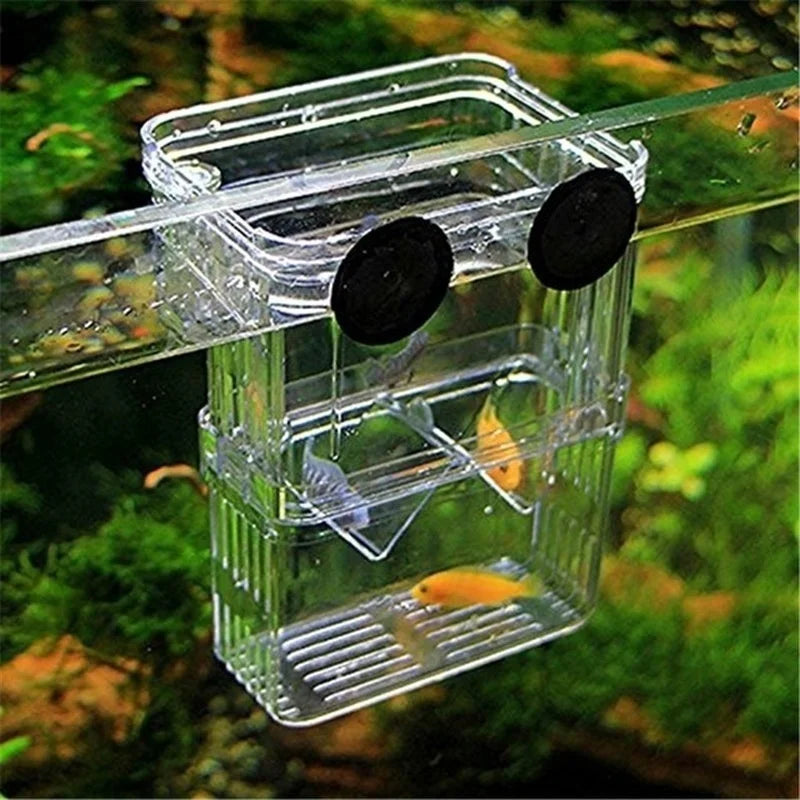 Multifunctional Fish Aquarium High Clear Fish Breeding Isolation Box Aquarium Breeder FishTank Double Guppies Hatching Incubator