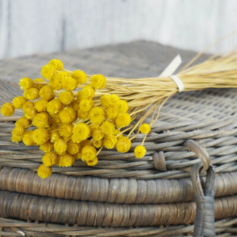 Flowers 50 Stems Dried Flowers For Arrangements  Home Decor Photo Props Handmade Air-drying  Dried Flowers