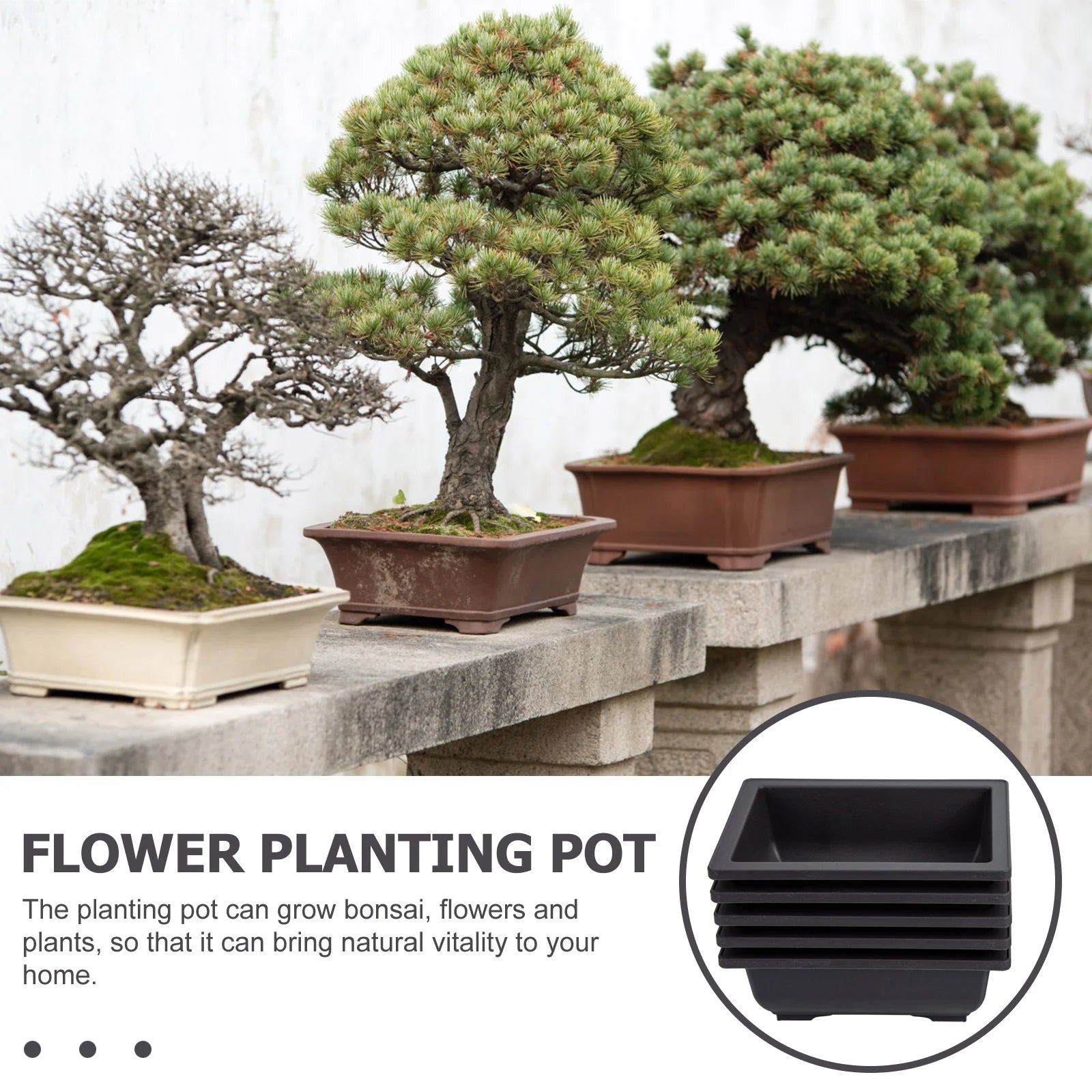 5 Sets Flower Planting Pot Succulent Bonsai Flowerpot Plastic Flower Planter