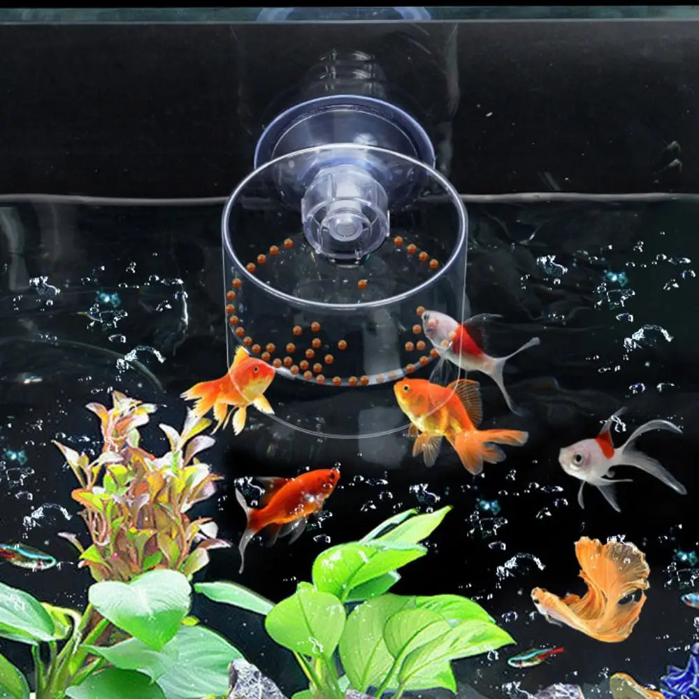 1Pcs Fish Feeding Aquarium Feeding Ring Fish Tank Station Floating Food Tray Feeder Aquarium Accessory with Strong Suction Cups