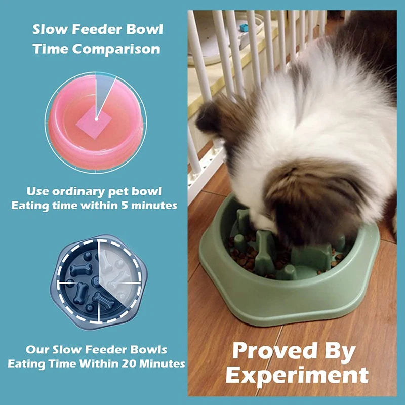 Slow Food Bowl for Small Dogs Choke-proof Slow Eating Pet Feeder Bowls Non-slip Puppy Cats Food Container PP Plate Pet Supplies