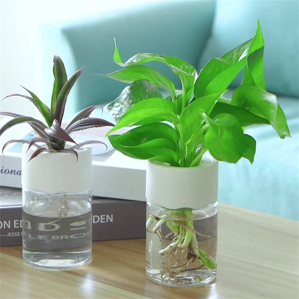 Mini Hydroponic Flower Pot Transparent Imitation Glass Soilless Plant Pots