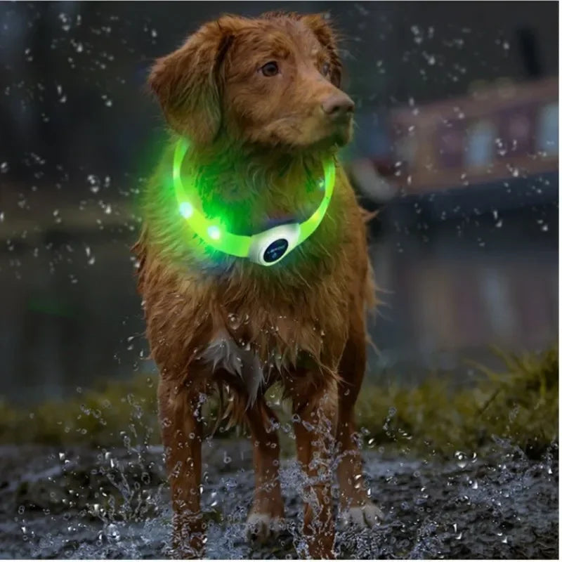 Led Luminous Light Dog Collar Usb Light PVC Waterproof Large Medium Small Dogs Collar