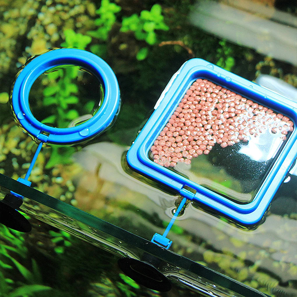 Aquarium Feeding Ring Fish Tank Station Floating Food Tray Feeder Square Circle Accessory Fish Food Feeder Suction Cup Black