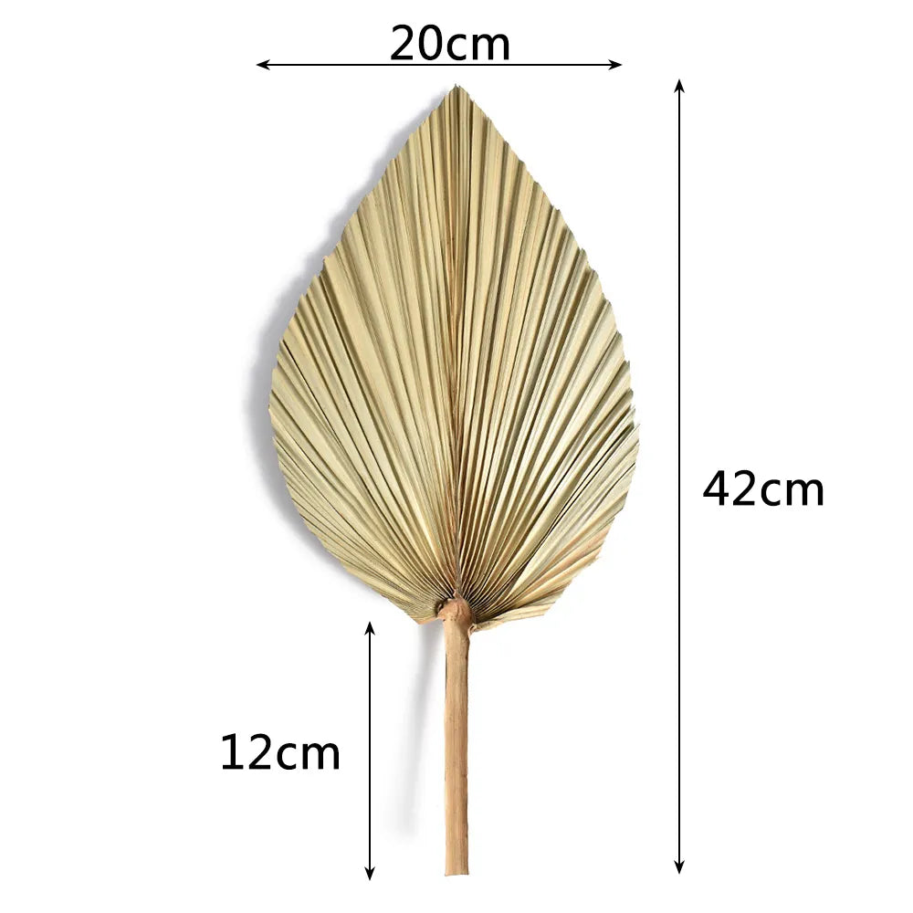 2PCS Palm Fan Leaf Dried Flower Mini Palm Leaves In Different Shapes Pampas Grasses Branches DIY Wedding Decorations Home Decor