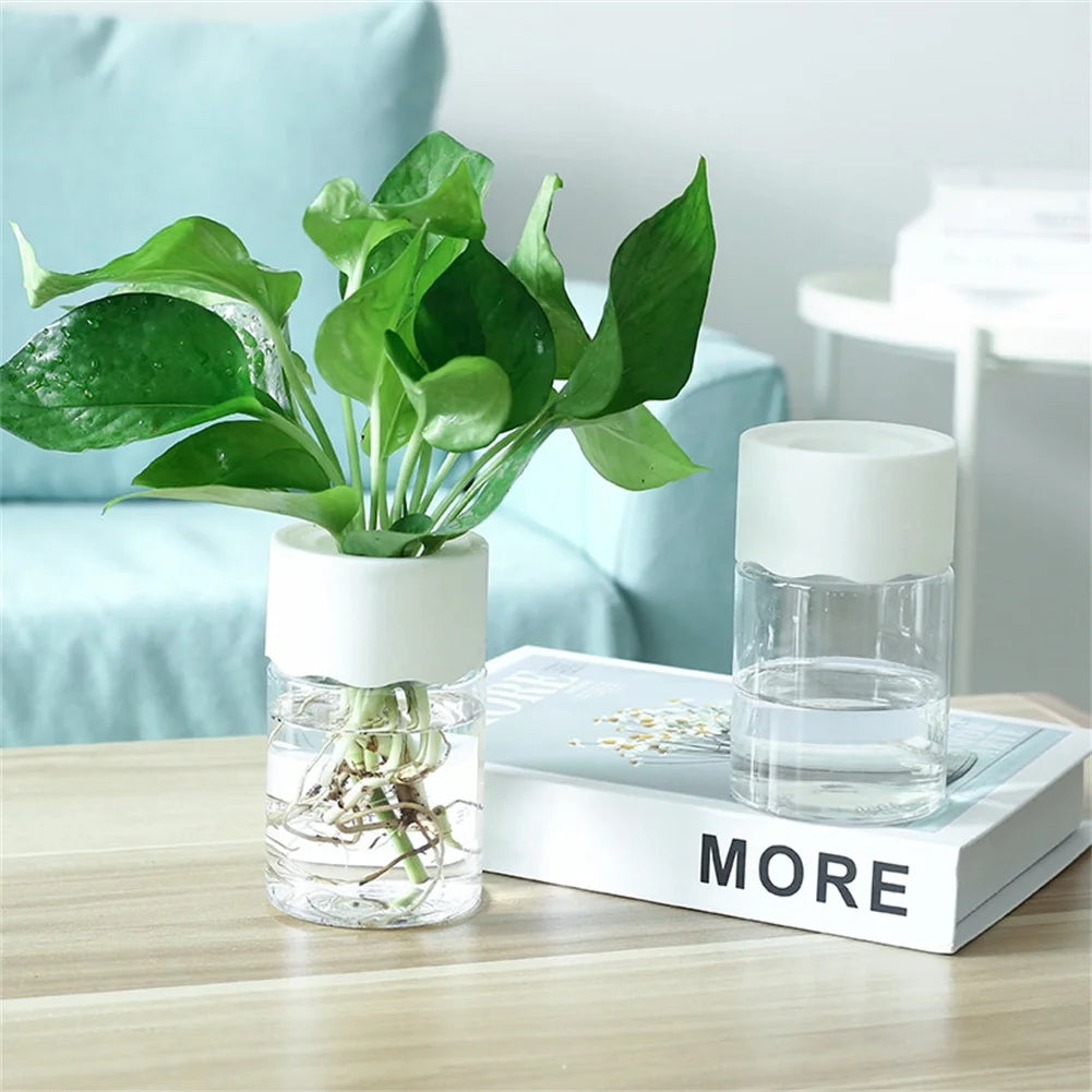 Mini Hydroponic Flower Pot Transparent Imitation Glass Soilless Plant Pots