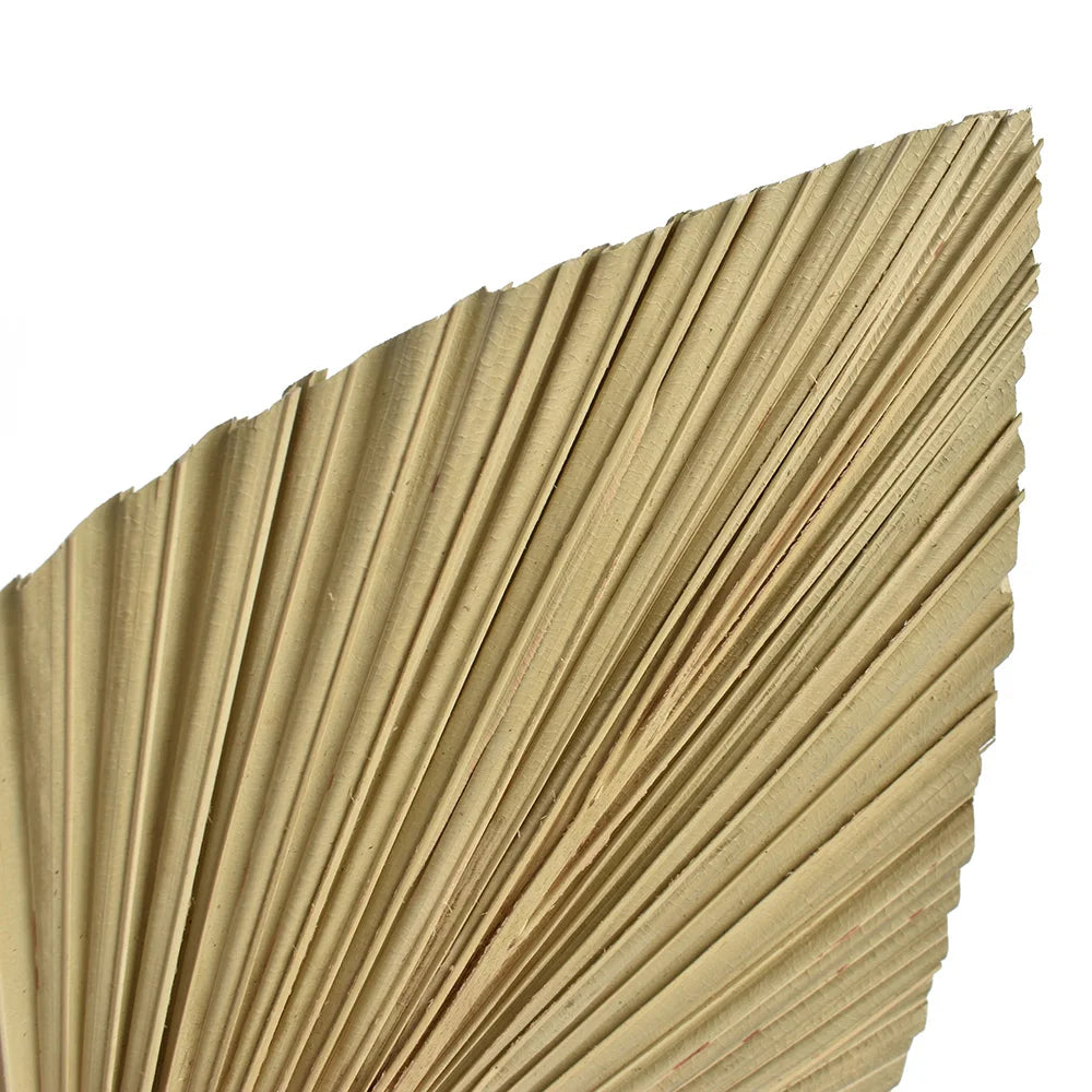 2PCS Palm Fan Leaf Dried Flower Mini Palm Leaves In Different Shapes Pampas Grasses Branches DIY Wedding Decorations Home Decor