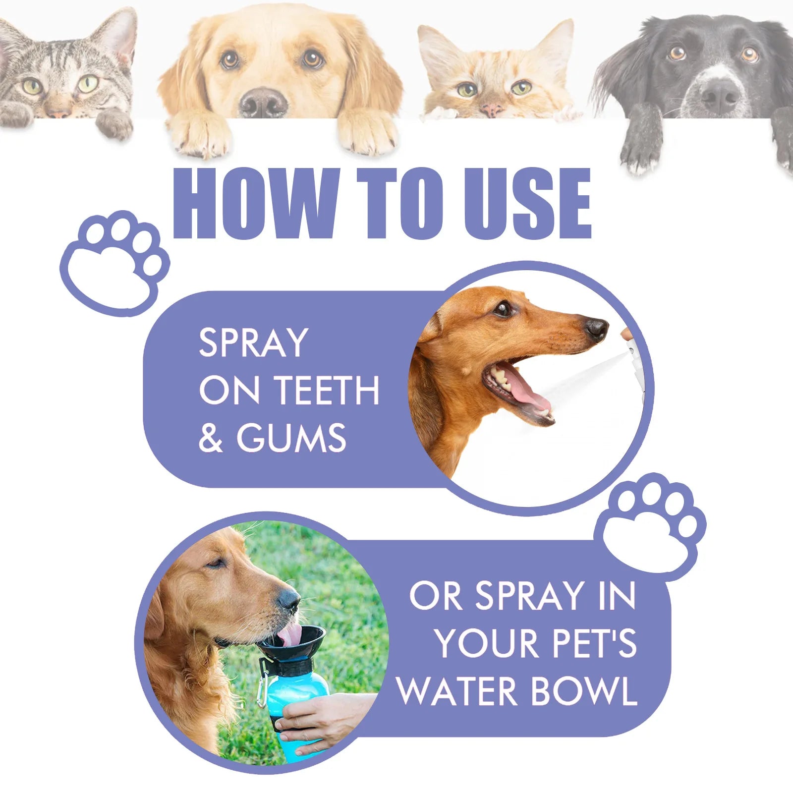 Dental Spray For Dogs Cats Dogs Teeth Cleaning Whitening Spray Remove Tooth Stains Keep Fresh Breath