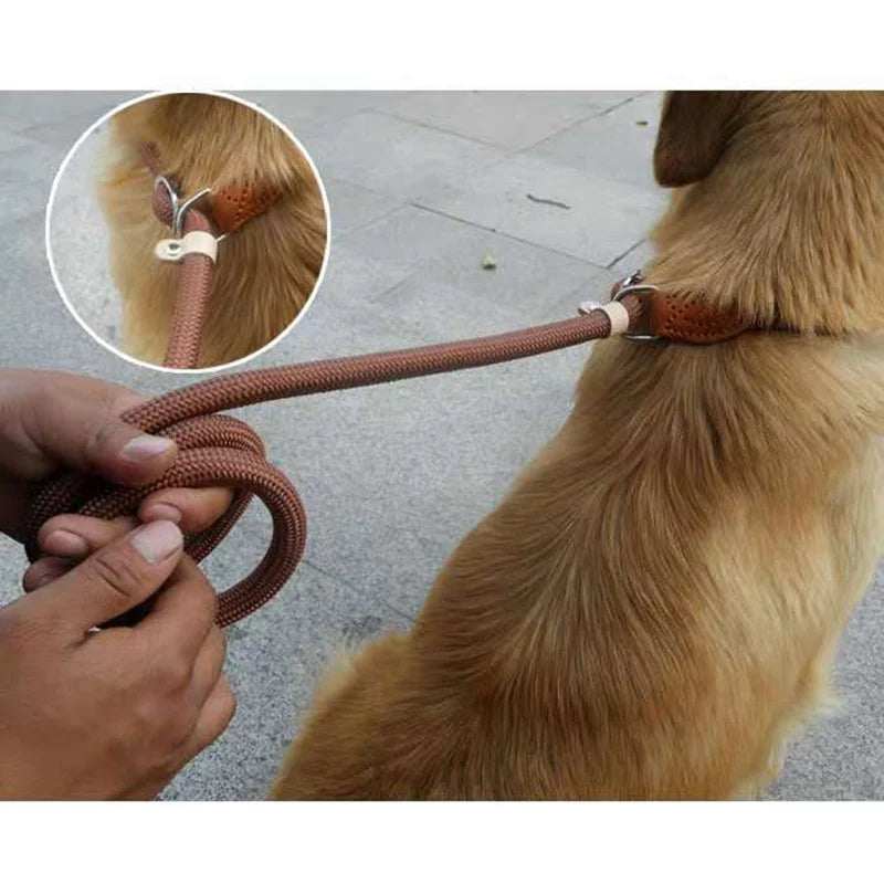 Dog Leash Running Walk Train Dog Lead Leash for Small Medium Large Dogs 140cm