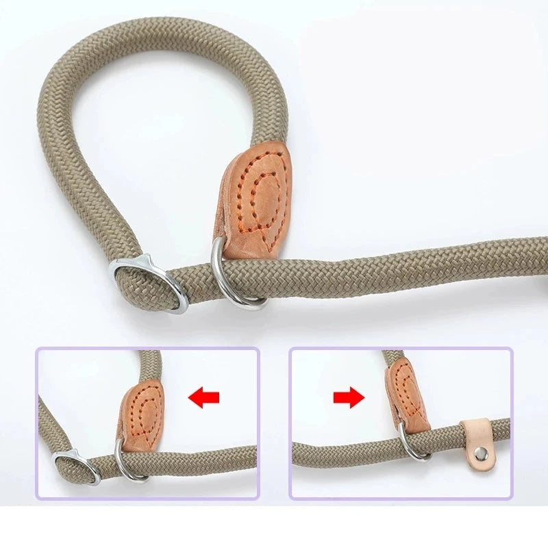 Dog Leash Running Walk Train Dog Lead Leash for Small Medium Large Dogs 140cm