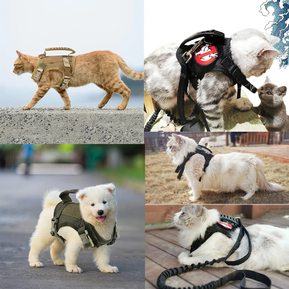 Tactical Puppy Vest Harness Leash For Small Dog cats Military Service Dog Training