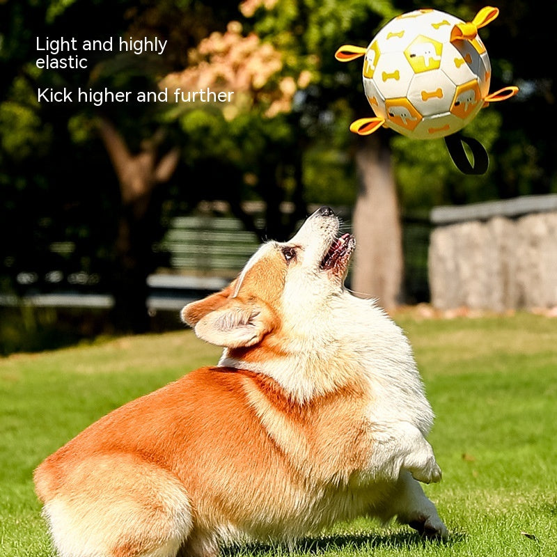 Dog Interactive Ball Toys Pet Sporty Bite Chew Teething Ball With Cute Printing